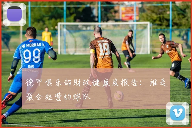 德甲俱乐部财政健康度报告：谁是最会经营的球队