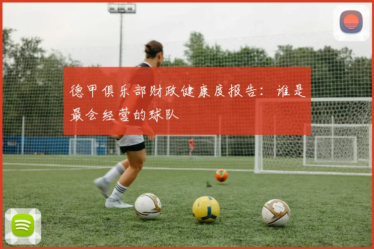 德甲俱乐部财政健康度报告：谁是最会经营的球队